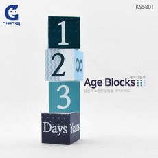 유아 숫자 공부 놀이 큐브 블록 어린이집 생일 기념 사진 기념일 만년달력