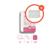 키트산 약국 코스트코 키토산 고분자키토산 수용성 키틴 질 새우 끼토산 키토산 영양제 저분자 콜레스테롤 수치 낮추는 영양제, 1세트, 60회분