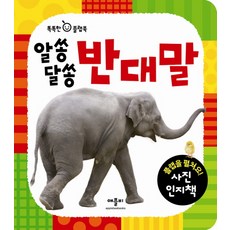 알쏭달쏭 반대말, 애플비