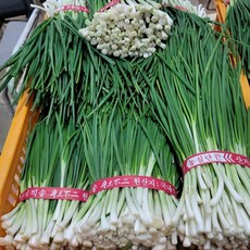 (당일손질)깐쪽파 쪽파 잔파 실파 1단1KG, 1kg, 1개
