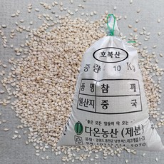 [다온농산] 2025년산 (햇) 수입 중국산 생참깨 -10Kg- 호북산 특참깨, 10kg, 1개