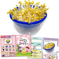 [오품] 콩나물 키우기