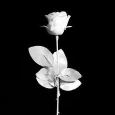 仿真拍照花束 彼岸花 黑色仿真玫瑰花 黑暗jk寫真拍照攝影道具 哥特黑玫瑰 假花 花束裝飾 情人節 朋, 白色小號 花朵直徑6cm 整支44cm現, 1個