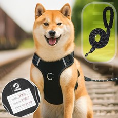 코코노피 명찰 강아지 하네스 목줄 중형견 대형견 리드줄 산책줄 세트, 블랙, 1개