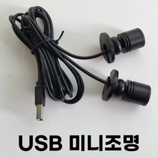 컴위즈 피규어조명 진열장 장식장 미니LED조명 전구 USB 라이트 핀조명, 블랙2구, 2개, 콜드화이트
