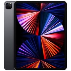Apple 아이패드 프로 12.9 5세대 M1칩, 스페이스 그레이, 128GB, Wi-Fi