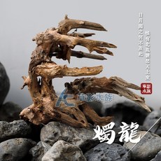 AC草影 巴西沉木 燭龍 (L) 水族造景裝飾