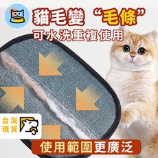 衣物刮毛器 寵物除毛手套 刮毛刷 衣物去毛神器 除貓毛狗毛 除毛刷 除毛器 粘毛器 可水洗除毛刷, 1個, 黑色加厚除毛手套 1條試用裝, 黑色