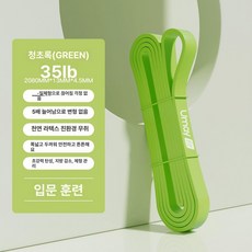 무릎 운동 밴드 근력 탄력 홈트 필라테스 발목 강화, 1개, 입문 그린 35lb~16KG