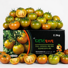 산지직배송 정품 대저 짭짤이토마토 신선보장, 1박스, 특품 2.5kg (S-2S)