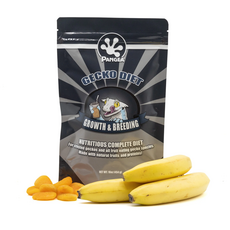 판게아 인섹트 슈퍼푸드, 56g, 1개
