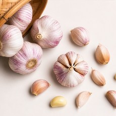 [26년첫수확] 국산 햇마늘 명품 마늘, 1개, 3kg