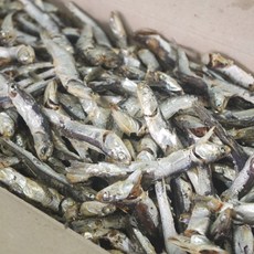 가락시장 국산 햇 다시멸치 1.5kg 완도 국물용 육수용 대멸 업소용 대용량, 1개