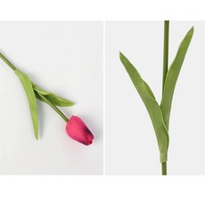 솔군스토어 튤립 조화 피치 인테리어꽃