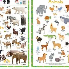 정재가 사운드벽보 520mmx765mm 유아교구 학습벽보