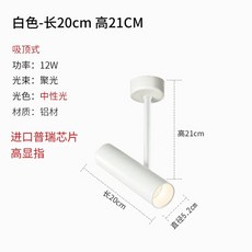 LED 카페 갤러리 바 하이라이트 스포트라이트 (레일형) 화이트(화이트) 5W, H. 흰색 천장 중성색 조명