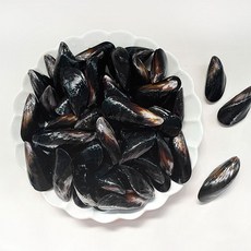 남해촌놈들 국내산 홍합, 1개, 1kg