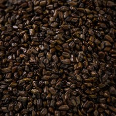 한가람건강원 인도산 결명자 대용량 효능 약재 약초 600g, 1개, 1개입