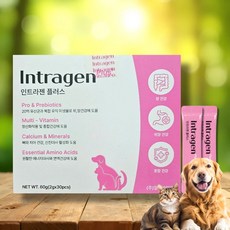인트라젠유산균 인트라젠 강아지종합영양제, 장건강/유산균, 1박스