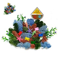 팔땨 스칸디아모스 바다 만들기 먼지먹는식물 어린이집만들기키트 유아만들기키트