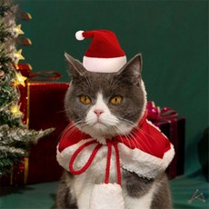 올데이픽 강아지 고양이 산타모자 크리스마스촬영소품