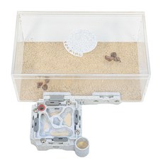 앤트킹 여왕개미 키우기 스타터팩 개미집 관찰키트, 1세트