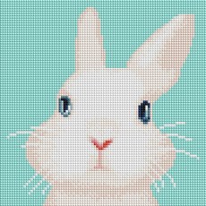 보석십자수 아기 토끼 (캔버스) 25x25, 색상