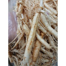 대용량 흠있는 못난이 인삼 파삼 1kg, 1개