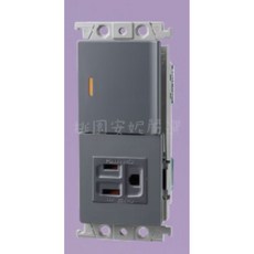 Panasonic RISNA 埋入式開關插座組合 (附螢光開關C 接地極插座), 1個