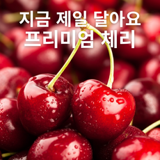 열매담 프리미엄 생과 체리 고당도 선별 과즙가득, 1개, 특대과 선별 1kg