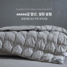 럭7 사계절용구스이불 사계절 프리미엄 다운 구스, 그레이