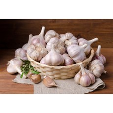 의성마늘 토종 육종마늘 1kg 내외 반접 알마늘, 세트, 1