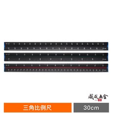 威威五金 三角比例尺 比例尺 繪圖尺 製圖尺 工程尺 30公分 尺規 測量工具 塑膠尺 直尺 三角 台灣製 酷黑比例尺, 1個