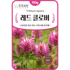 [주주씨앗] 레드 클로버 씨앗 1kg / 크로바 토끼풀 다년생 야생화 꽃씨 씨앗몰, 1개
