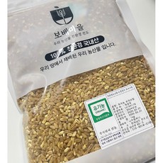 [25년산] 국산 유기농 호라산밀 카무트 카무트쌀 보배마을, 2개