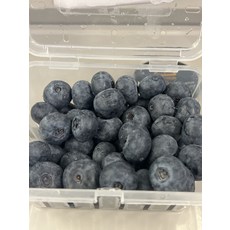 블루베리 생과 국내산 슈퍼푸드 특별한 신상품 깊은맛 피로회복 200g 2팩, 2개