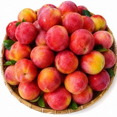 [재구매율1위] 초고당도 노지 자두 선별 특품 경북 산지직송 디아머스, 1박스, 2kg (대과)