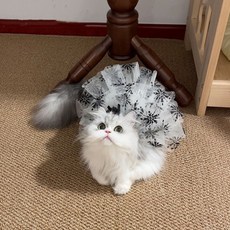 蕾絲紗雪花寵物連衣裙 春夏貓咪狗狗背心裙, 乾枯雪花裙,m背長29建議2.5-3.5kg, 1個