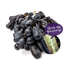 스위티크 고당도 씨없는 블랙사파이어포도 프리미엄 특품, 1개, 2kg