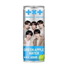 다이도 TOMORROW × TOGETHER 그린 애플 워터 250g × 30개