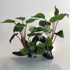 수족관 어항 유목 수초 장식 대 god+57313TS
