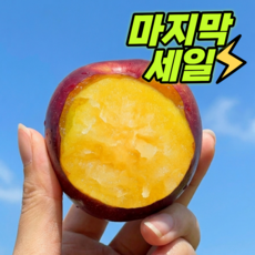 [제철마지막세일] 하루5box 벌꿀brix 후무사 자두, 1개, 1kg