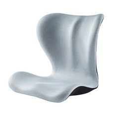 花瓣坐墊2代 人體工學設計 美姿美臀 腰椎支撐, 佈套款-健康佈-銀月灰