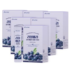 빌트루 리얼베리 블루베리 퓨레 100 스틱 즙, 84개, 20g