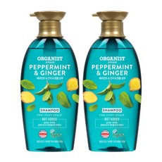 오가니스트 페퍼민트 쿨링진정 샴푸 500mlx2개 ., 500ml, 2개