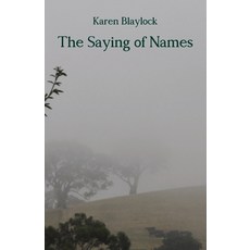 (영문도서) The Saying of Names Paperback, Debbie Lee, English, 9781761093319