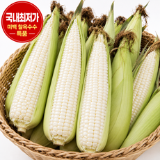 [바른상회] 국산 미백 찰 옥수수, 10개, 특품 16cm 이상