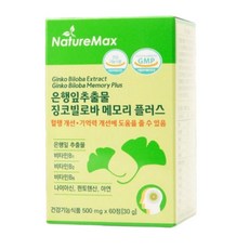 진스샵 징코 혈행 건강 기억력 개선 은행잎 면역 영양제 60정, 1개