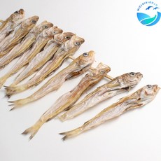 줄노가리 10미, 1개