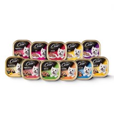 Cesar 西莎 犬餐盒 熟齡犬系列 自然素材系列, 100g, 24個, 雞肉